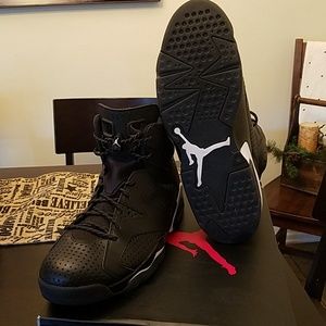 Air Jordan 6 black cat